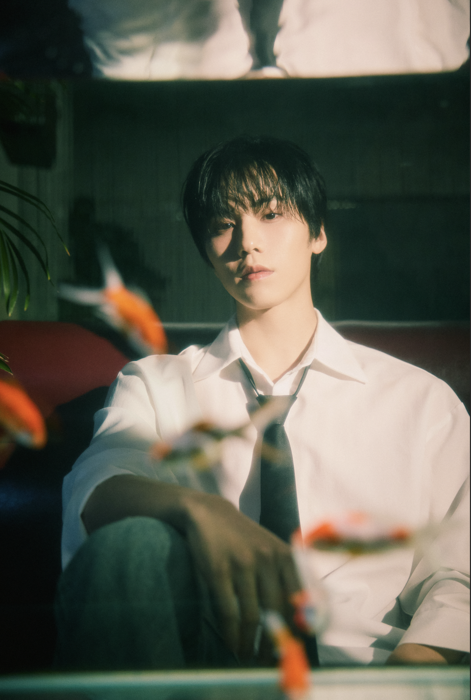 The Dreams That Shaped The Soloist, ROCKY — Bias Wrecker